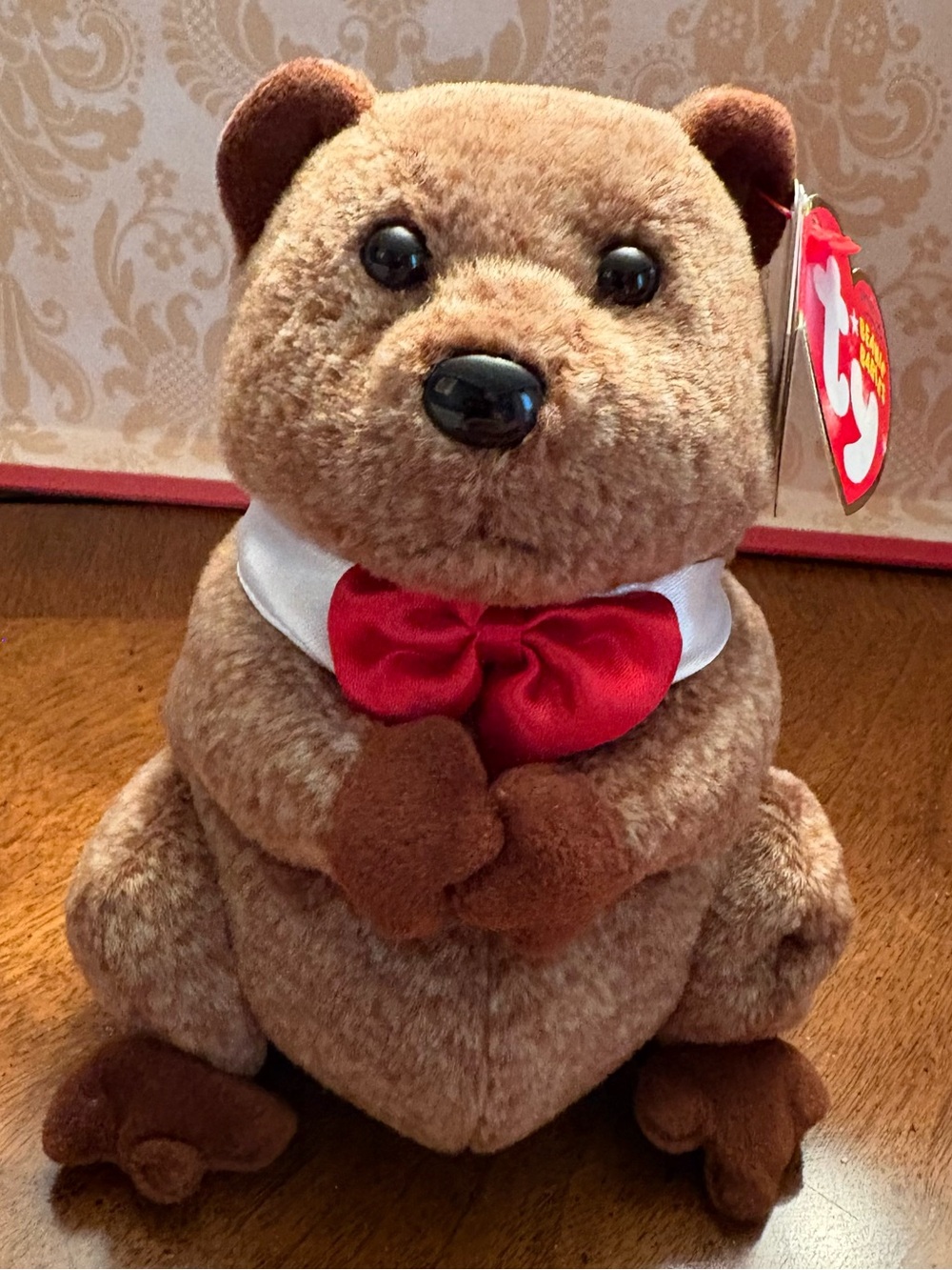 2009 TY Beanie Baby Brown groundhog Plush with Red Bow